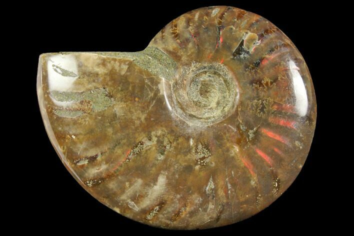 Red Flash Ammonite Fossil - Madagascar #151782